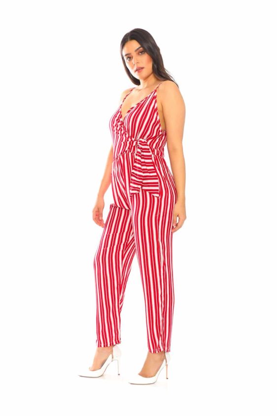 2 Colored Vertical Stripe Jumpsuit - 12