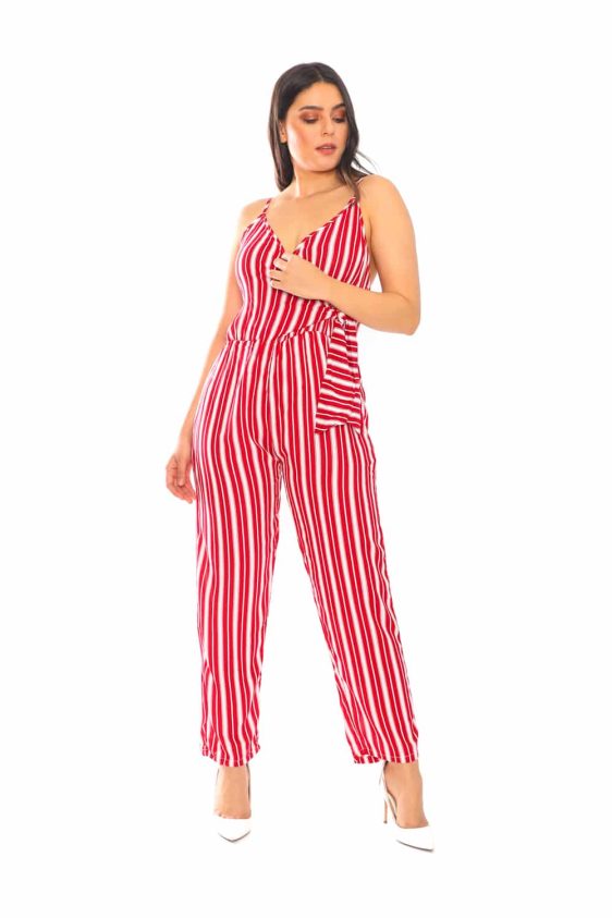 2 Colored Vertical Stripe Jumpsuit