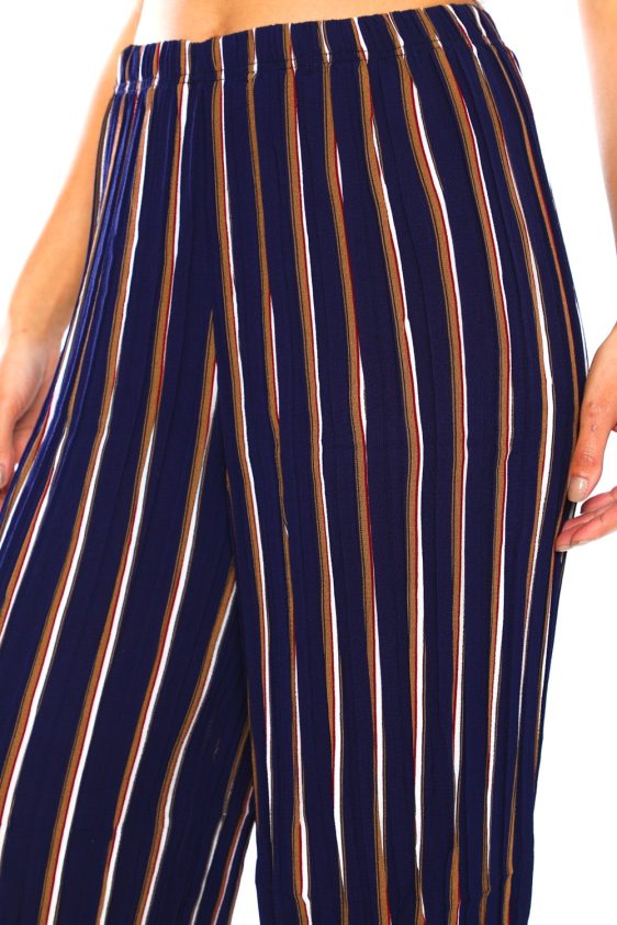 Pleated Pants with Multi Color Stripes - 6