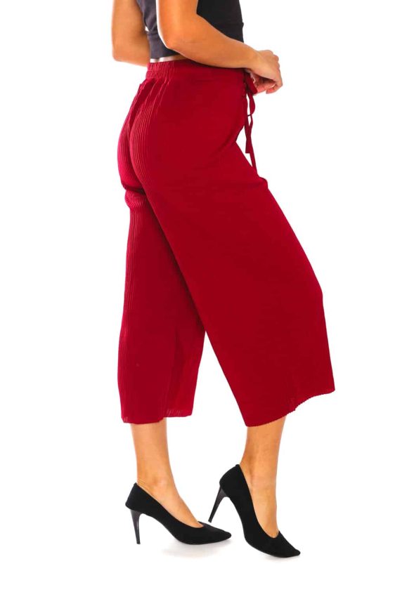 Culotte Pants with Pleats - 4