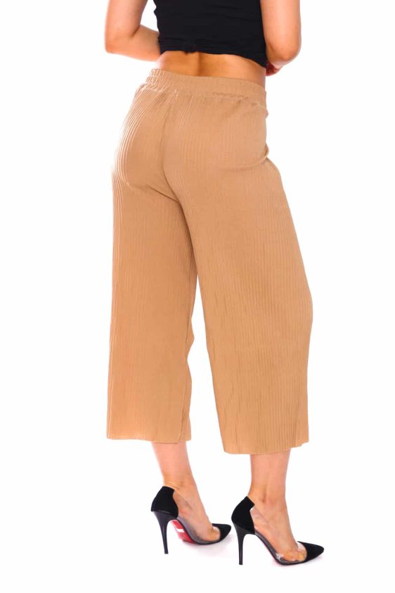 Culotte Pants with Pleats - 9